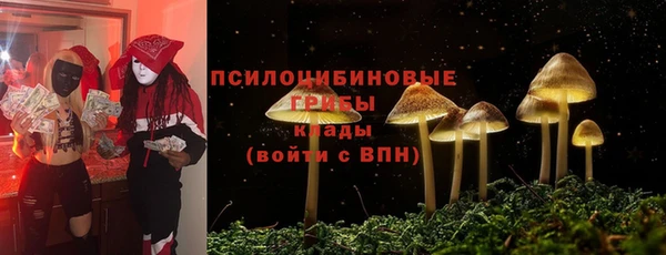 a pvp Семилуки