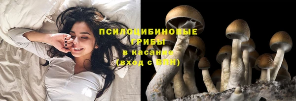 индика Семикаракорск