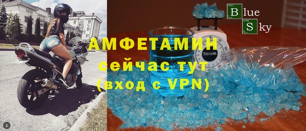 индика Семикаракорск