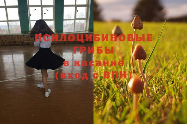 индика Семикаракорск