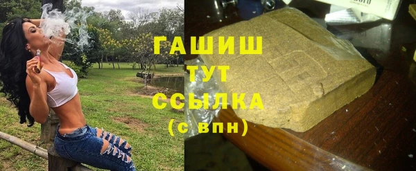 индика Семикаракорск