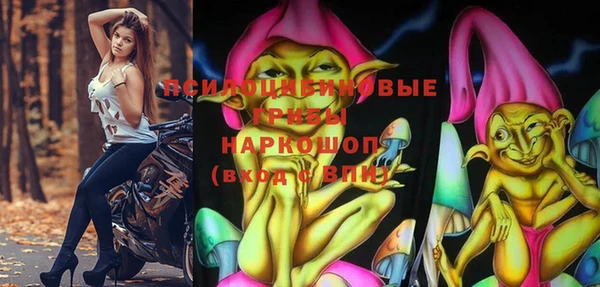a pvp Семилуки
