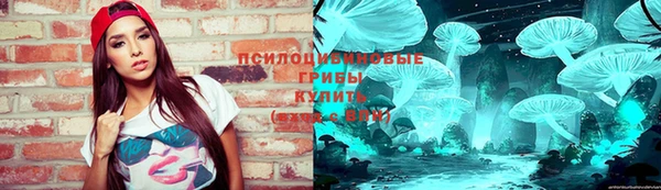 индика Семикаракорск