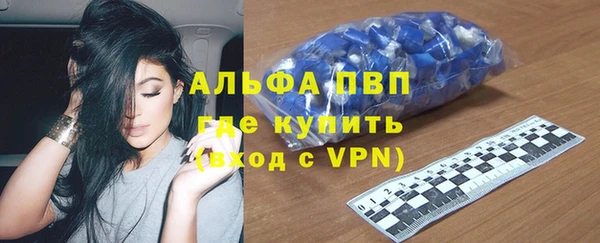 индика Семикаракорск