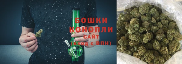 индика Семикаракорск