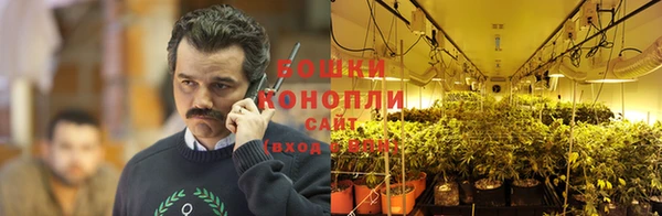 индика Семикаракорск