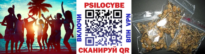 Купить  Ульяновск  Псилоцибиновые грибы мухоморы 